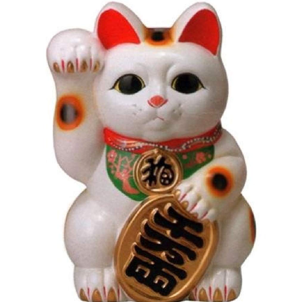 Amazon.co.jp: 招き猫 10号 白小判猫（右手） 常滑焼 : ホーム＆キッチン